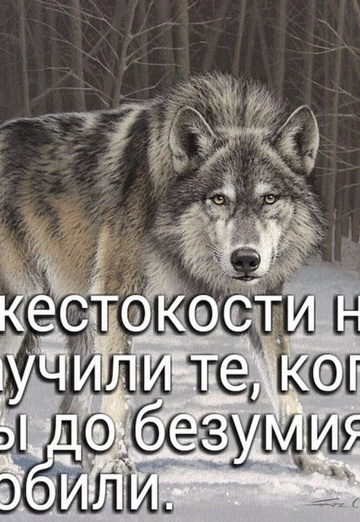 Lyudmila (@ludmila120575) — my photo № 5