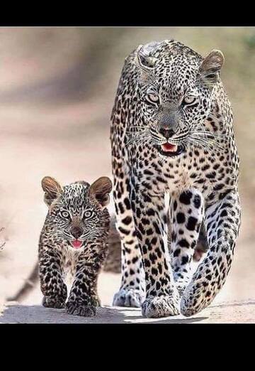 Nasir (@nasir519) — my photo № 2