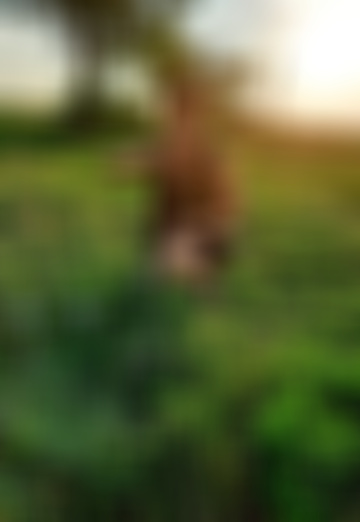 Elena (@elena573522) — my photo № 4