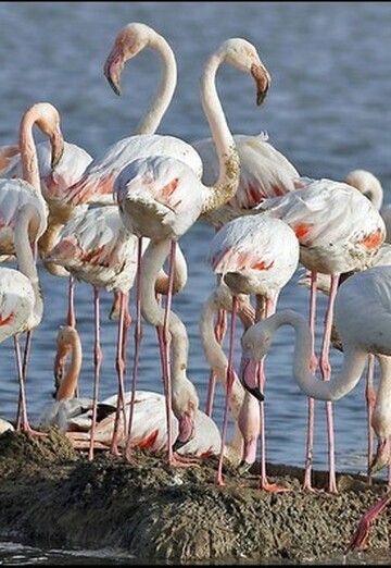 ceho (@ceho) — my photo № 2