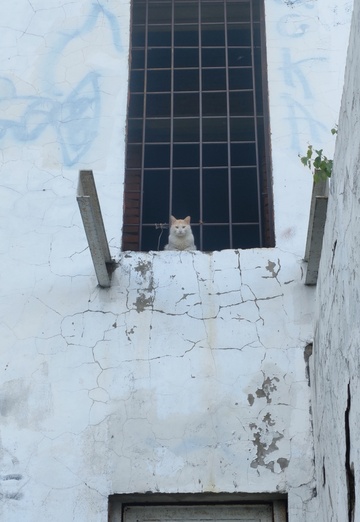 Vladimir (@viadimir10) — my photo № 23