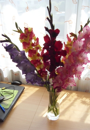 jura zado (@jurazado) — my photo № 2