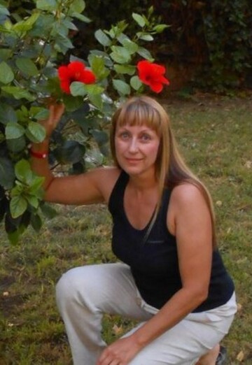 Моя фотография - Светлана, 52 из Брянск (@svetlana286403)