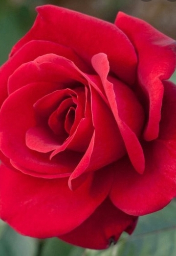 simon (@simon1543) — my photo № 2