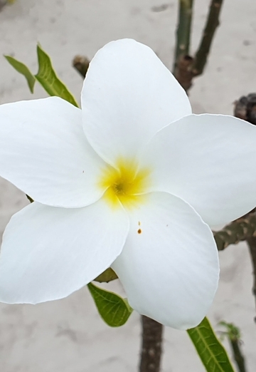 Vadim (@vadim132760) — my photo № 2