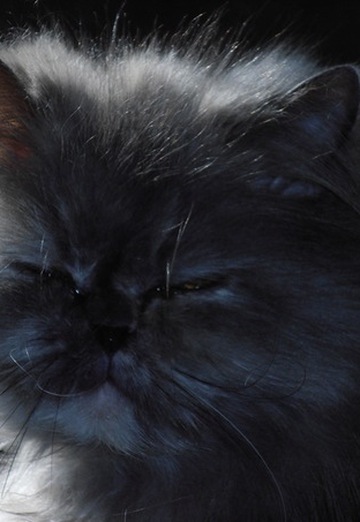 Vladimir (@vladimir419189) — my photo № 81